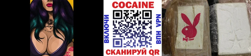 как найти   Партизанск  OMG зеркало  COCAIN Колумбийский 