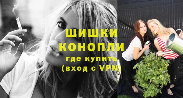 Альфа ПВП Вязьма